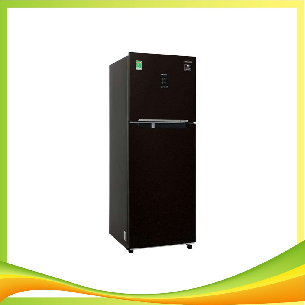 Tủ lạnh Samsung Inverter 290 lít RT29K5532BU/SV