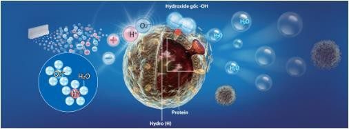 May Loc Khong Khi Hut Am Sharp Hieu Qua Cho Ngay Nom 1