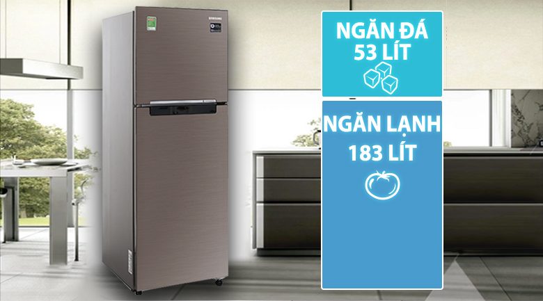 Tủ lạnh Samsung Inverter 236 lít RT22M4032DX/SV Tủ lạnh Samsung Inverter 236 lít RT22M4032DX/SV
