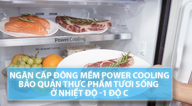 Tủ lạnh Samsung Inverter 236 lít RT22M4032DX/SV Tủ lạnh Samsung Inverter 236 lít RT22M4032DX/SV