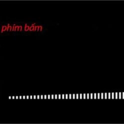 Bếp từ đôi Kangaroo KG438I