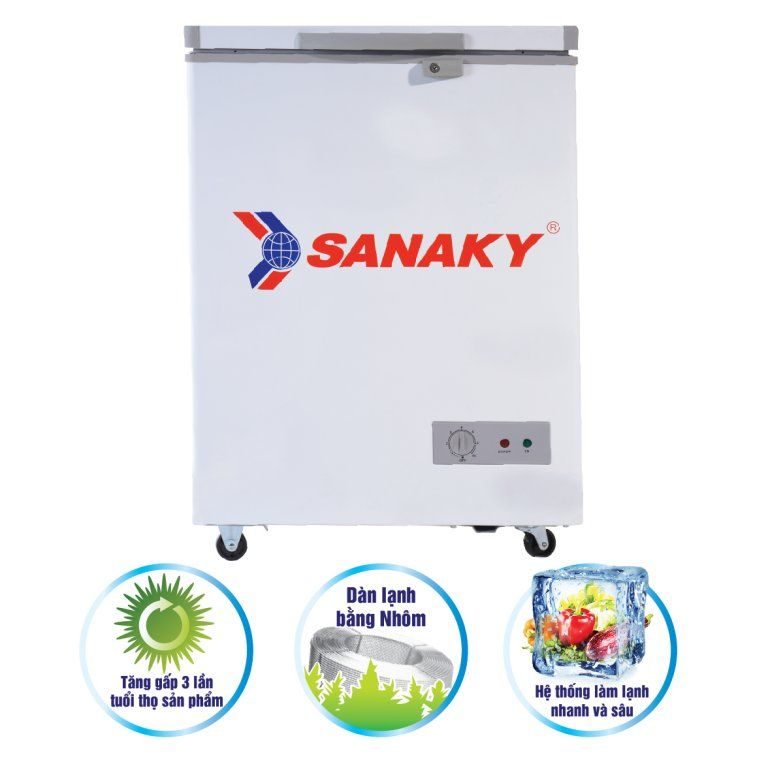 Tủ đông Sanaky 100l