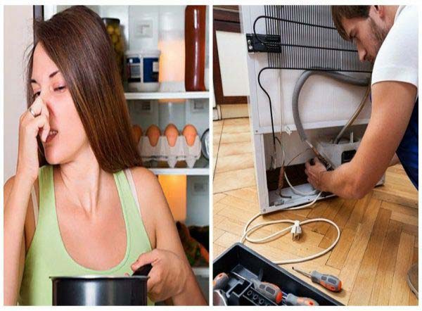 Tủ lạnh rò rỉ ga: 