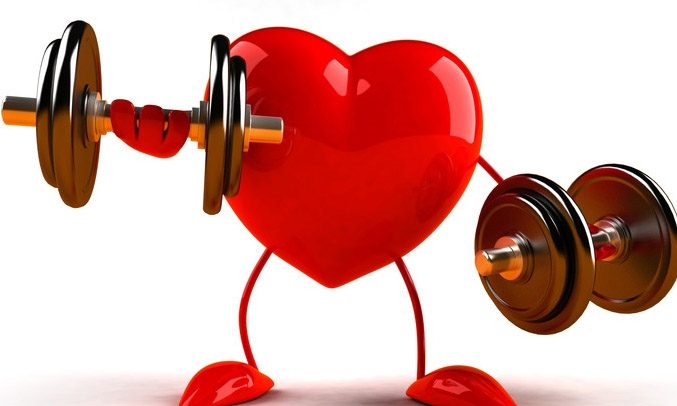 Bình giữ nhiệt Elmich inox 304 500ml EL2973