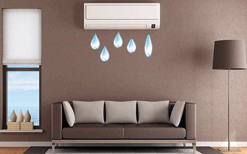 Cuc Lanh Chay Nuoc 3