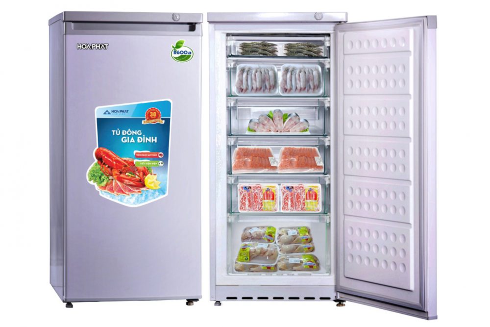 Tủ đông Gia đình 1