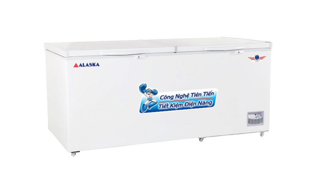 Tủ đông 1000 Lít 2