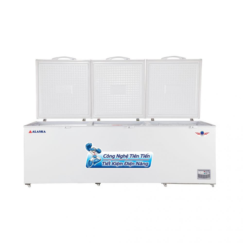 Tủ đông 1000 Lít 3