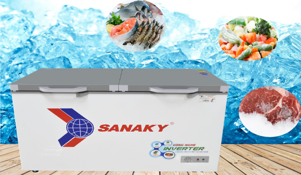 Tủ đông Sanaky Inverter 305 Lít Vh 4099a4k 1