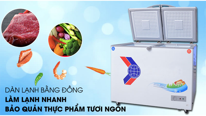 Tủ đông Dàn đồng 3