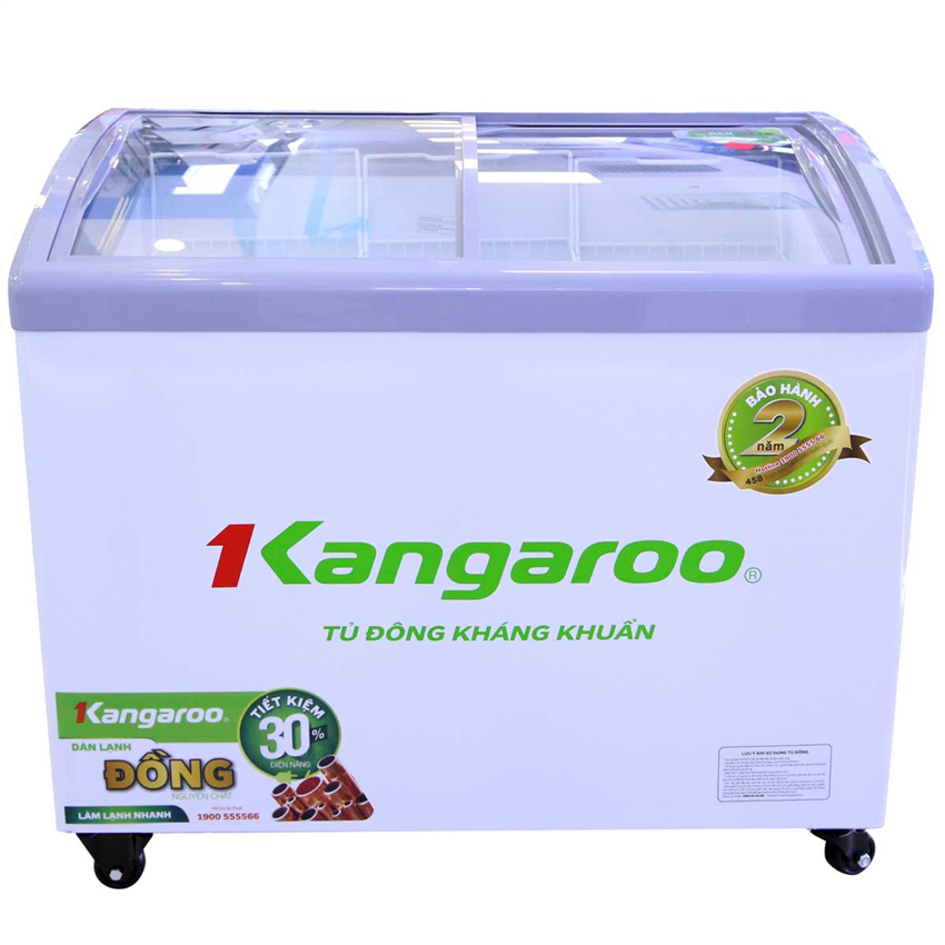 Tủ đông Nằm 1
