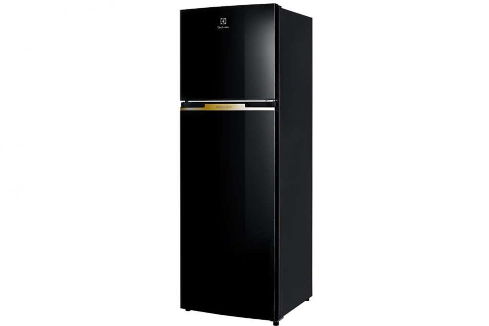 Tủ Lạnh Electrolux 350l (1)