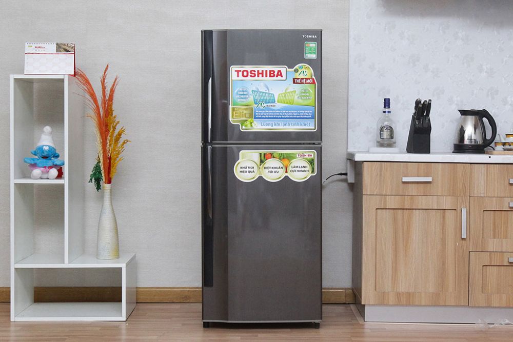 Tủ Lạnh 2 Cánh Hãng Toshiba (2)