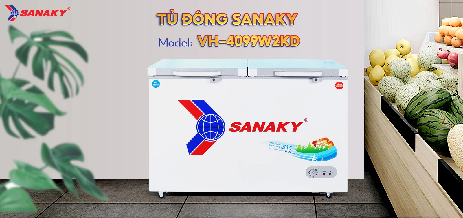 Tủ Đông Sanaky VH-4099W2KD