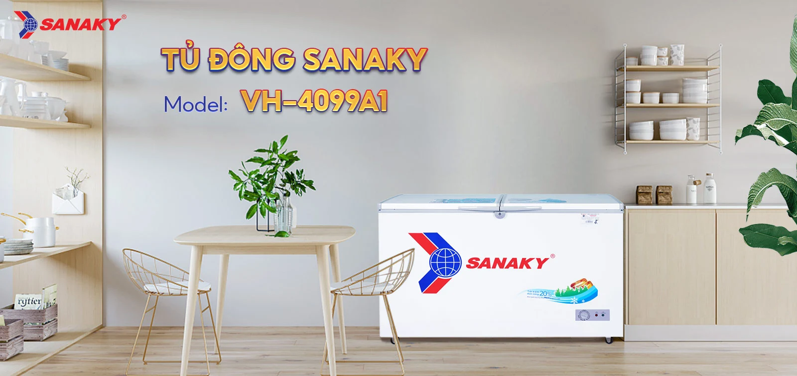 Tủ Đông Sanaky VH-4099A1